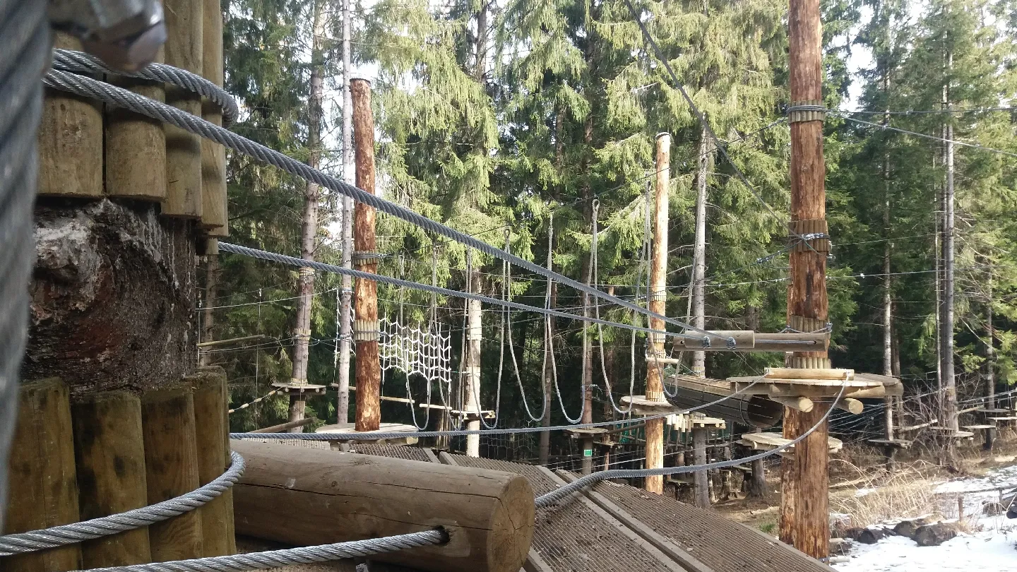 Păltiniș — Arka Park