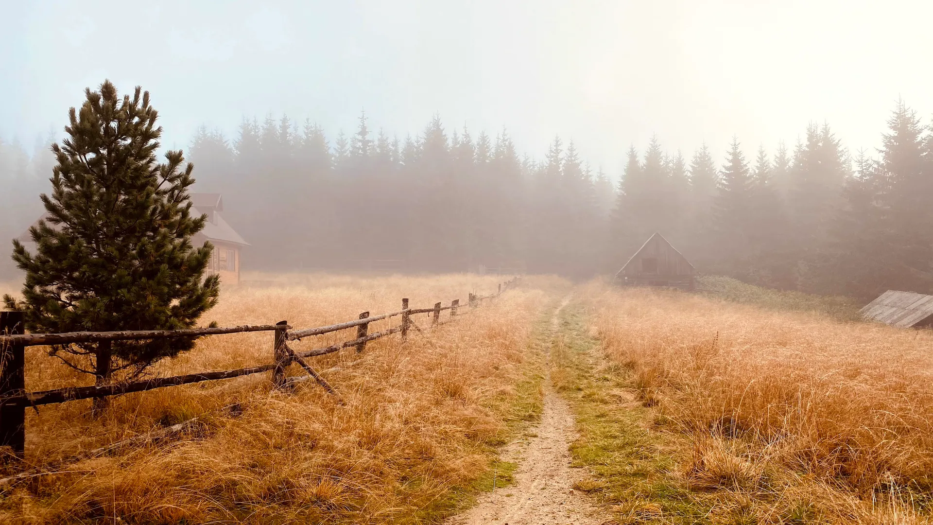 Munții Cindrel — drumeții de la pensiune