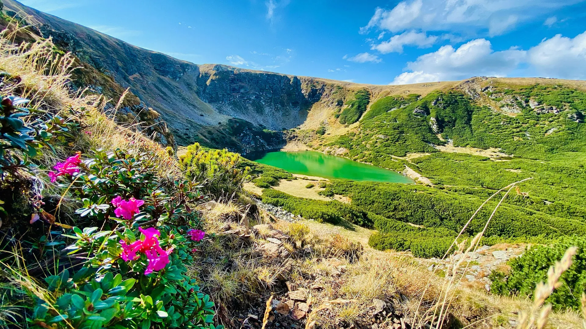 Munții Cindrel — drumeții de la pensiune