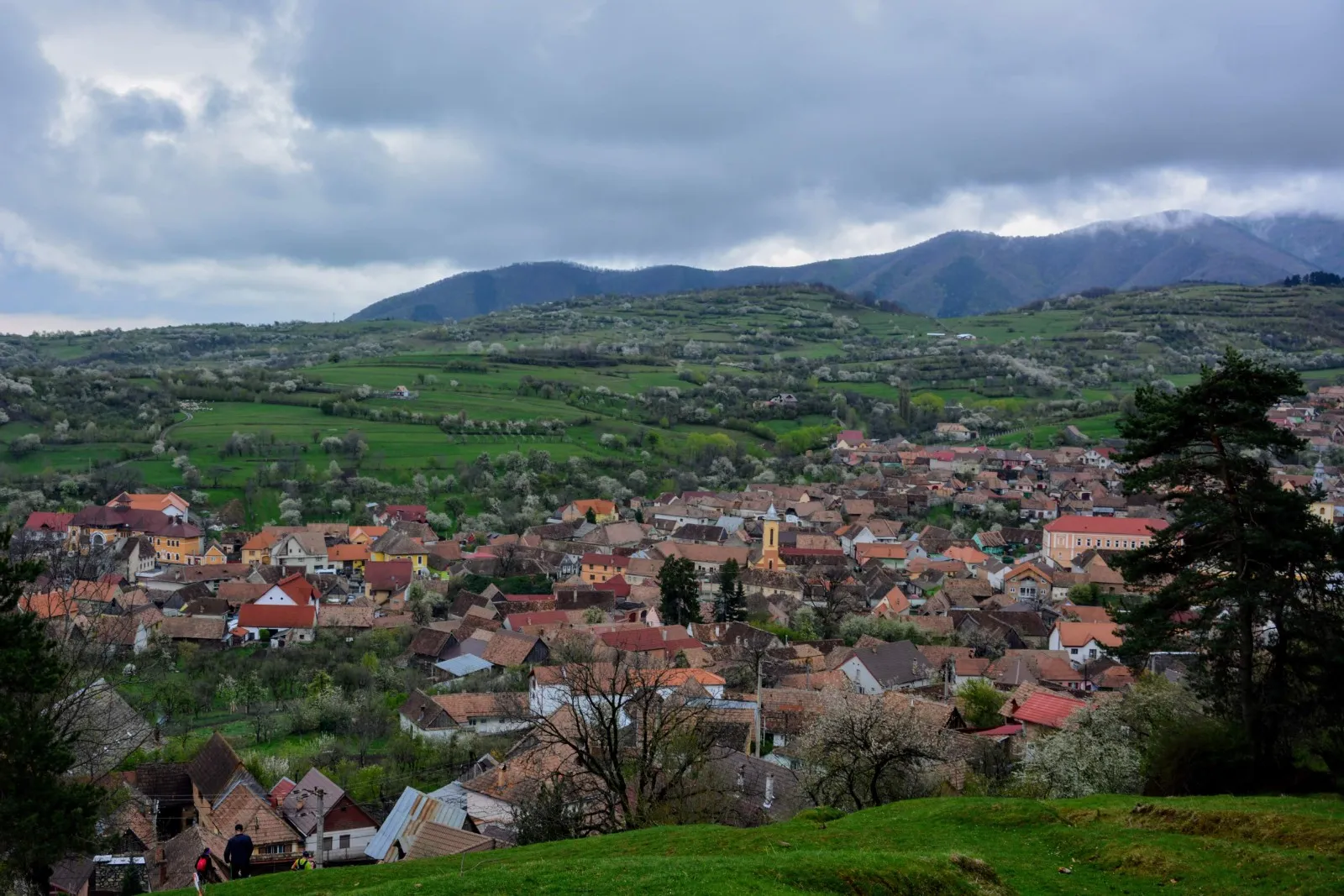 Rășinari — sat tradițional